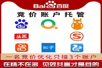 SEM代理助力企业：案例分享，优化策略全解析